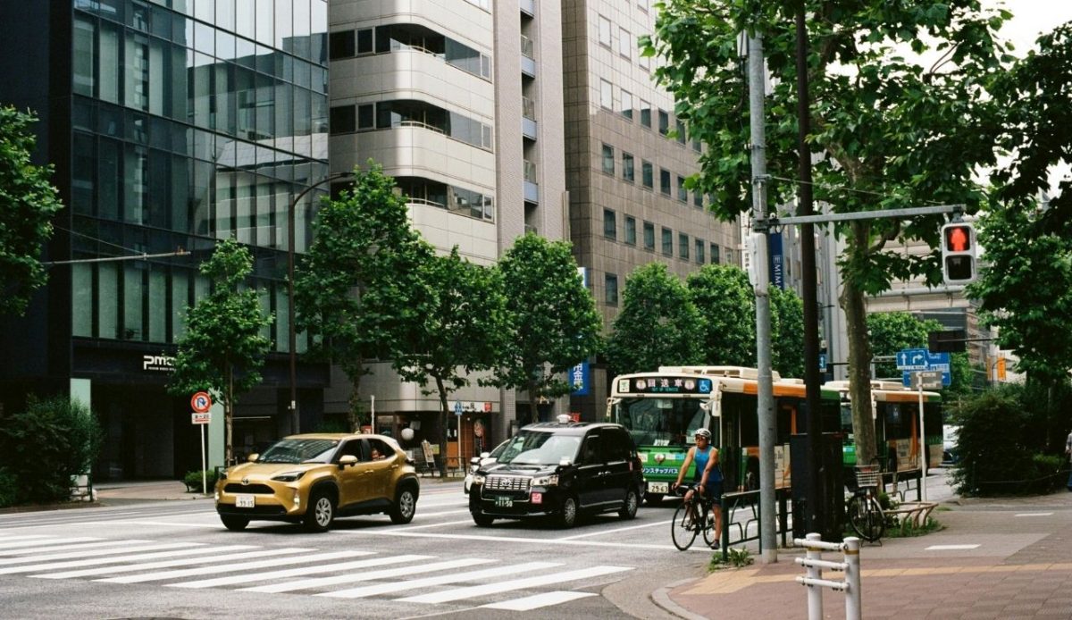 Cars, Bus and Man on Bicycle on Street                           