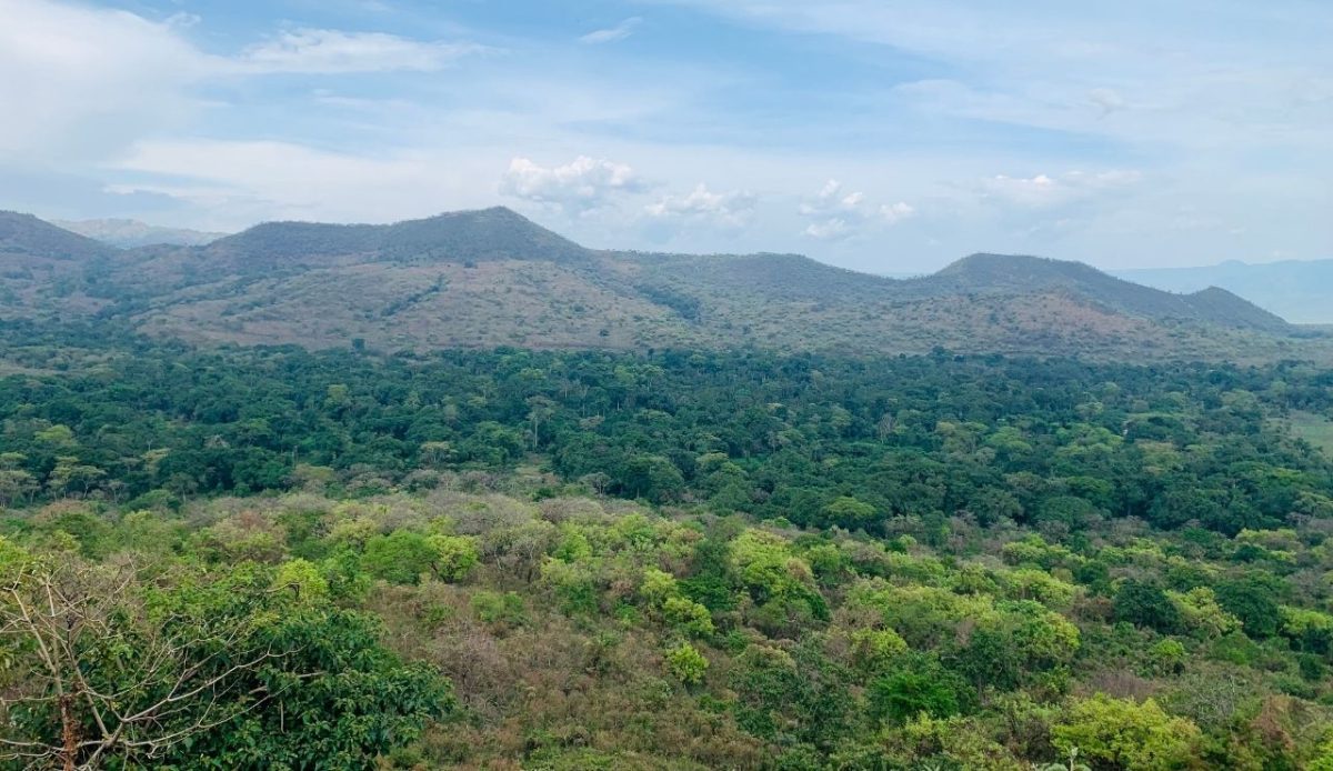 Chebera Churchura National Park                                         