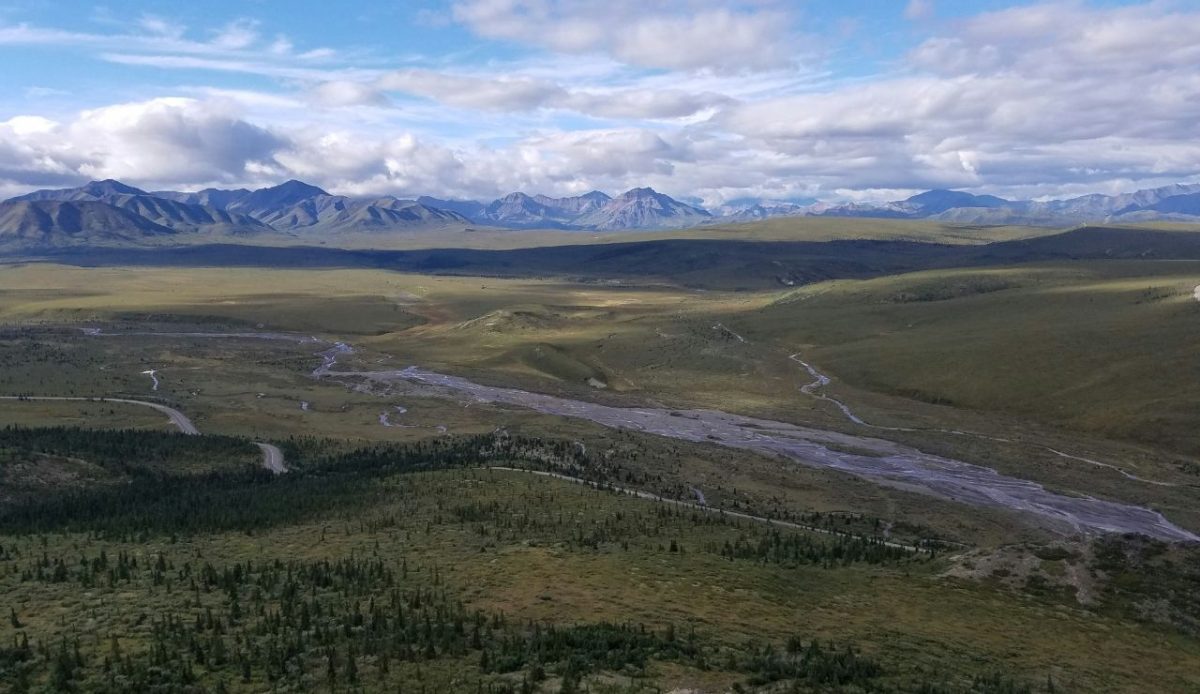 Denali National Park and Preserve, Alaska, USA                                      
