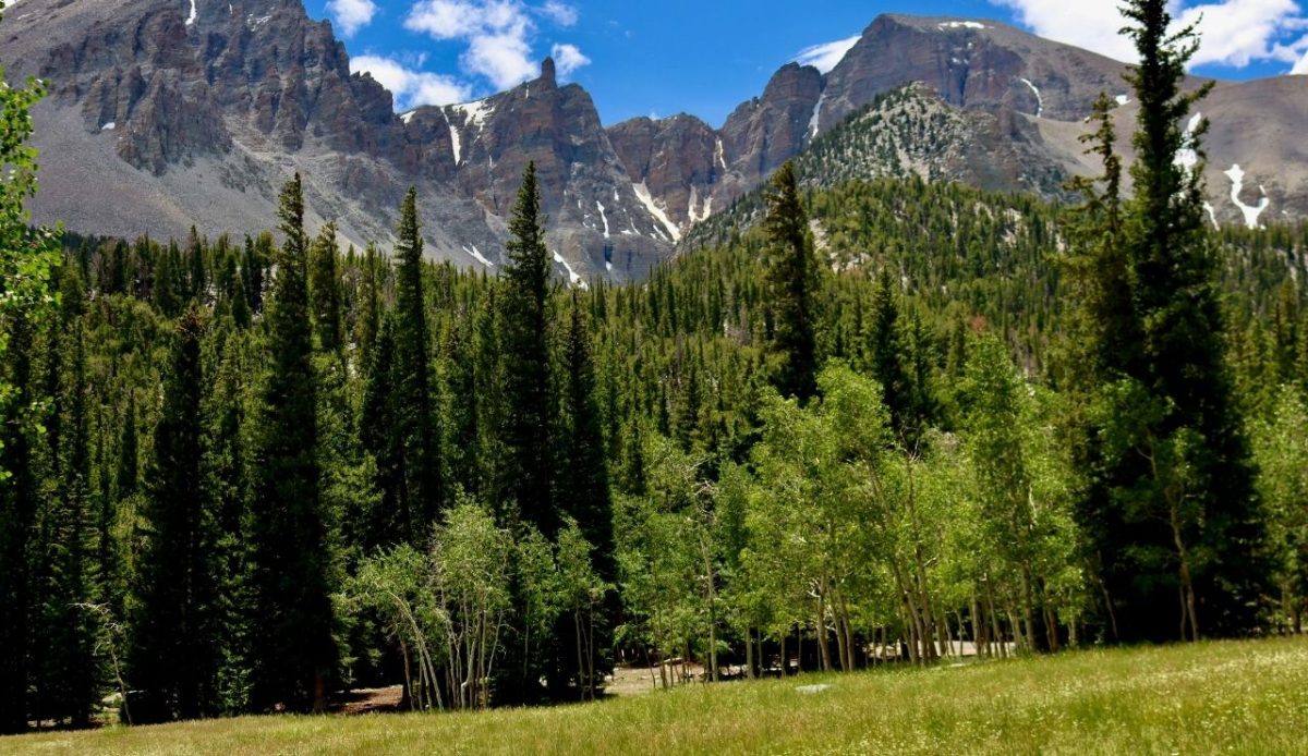 Great Basin National Park, Nevada, USA                                        