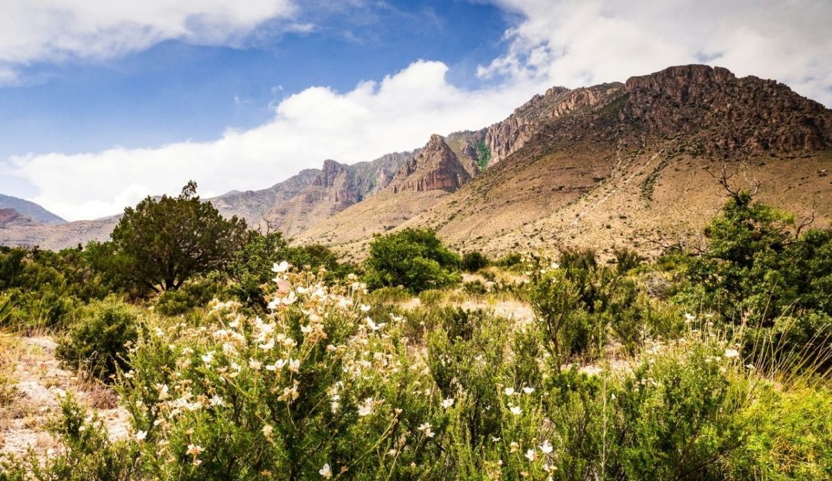 12 Parks You’re Personally Wrecking 11 Guadalupe Mountains National Park, Texas, United States