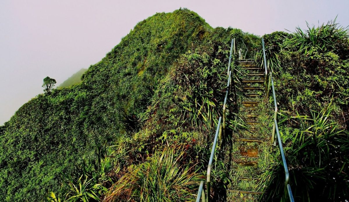 13 TikTok Gems Now Total Garbage Pits 4 Haiku Stairs, Haiku-Pauwela, United States