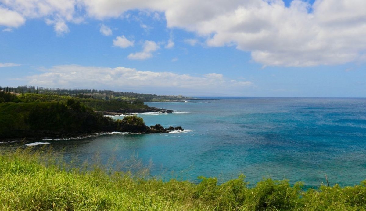 12 Hawaii Beaches Too Crowded to Enjoy 12 Honolua Bay, Lahaina, United States