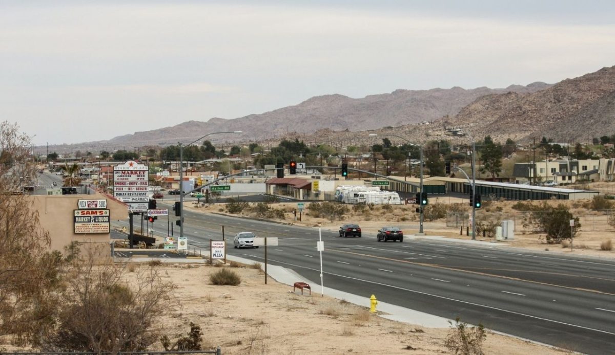 Joshua Tree Area, California                                    