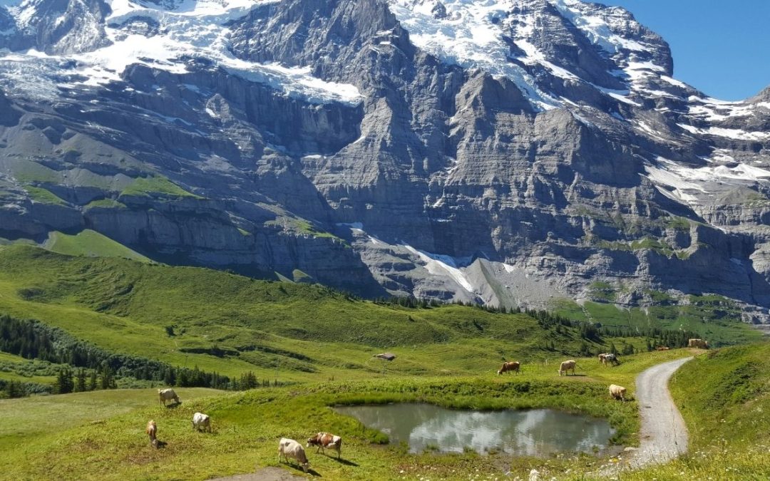 10 Jungfrau Traps Draining Wallets