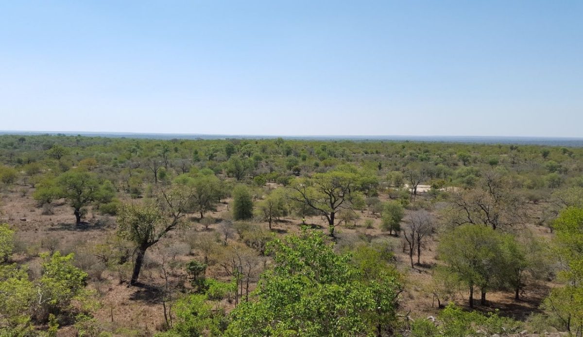 Kruger National Park Wilderness Trails                        
