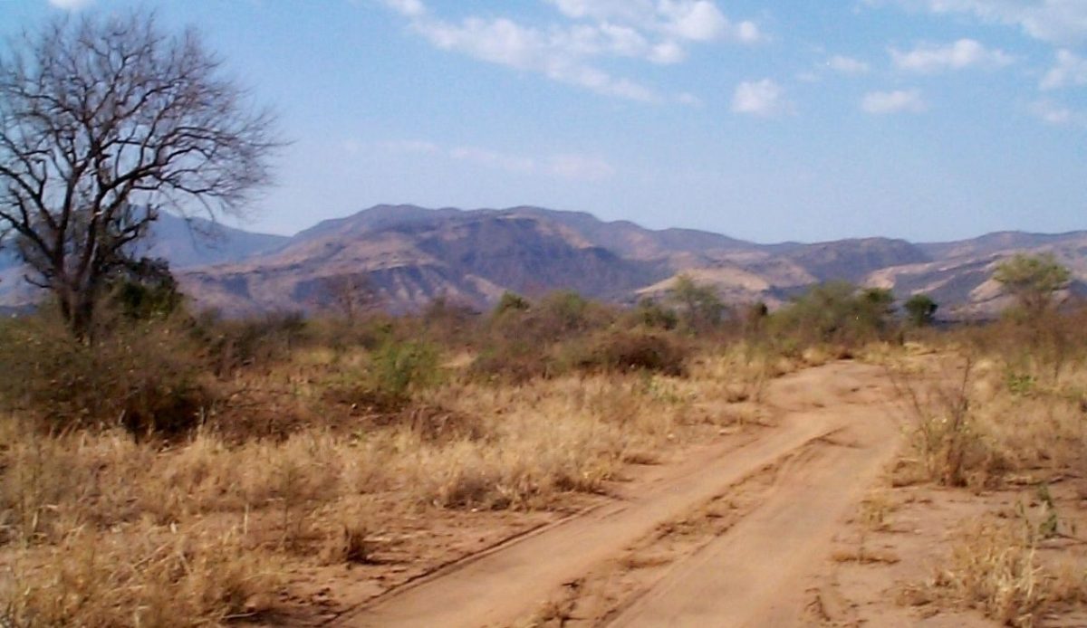 Mago National Park                            