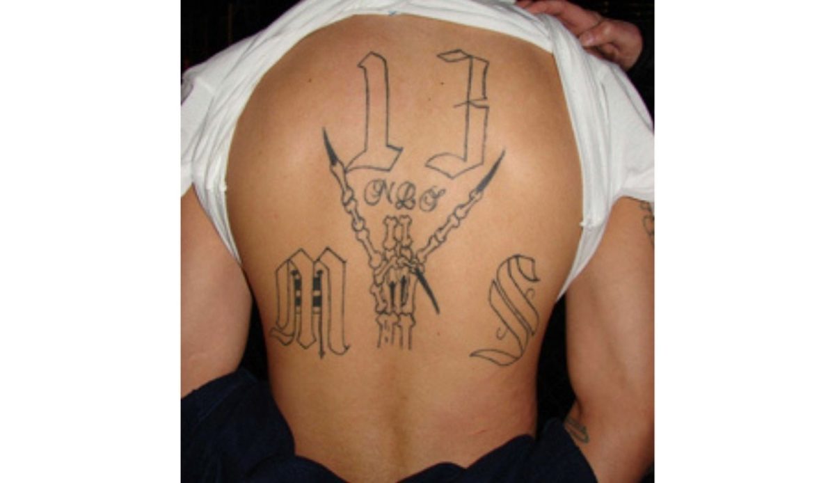 Mara Salvatrucha 13 (MS-13)                                   