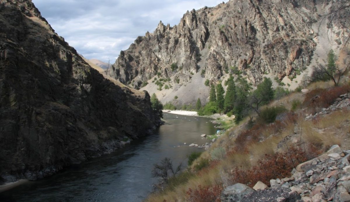Middle Fork Salmon River                           