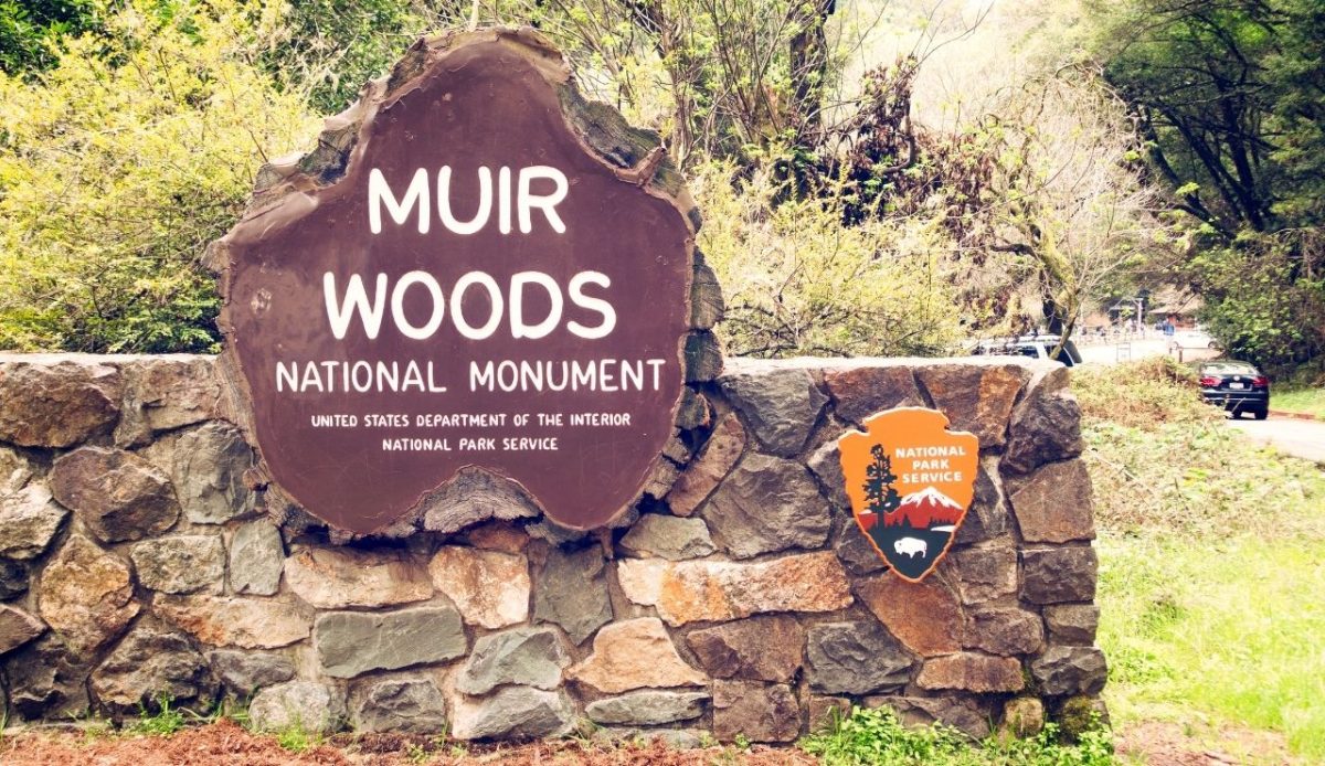 Muir Woods National Monument                                 