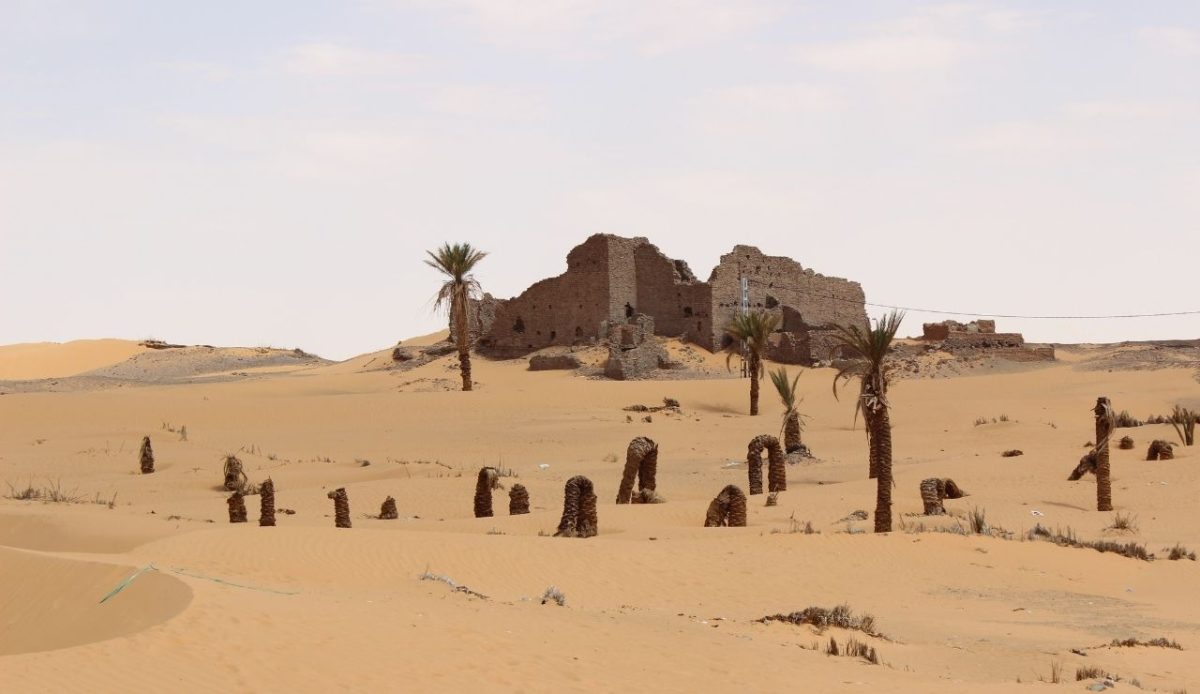 Oasis Aghlad région Gourara, Adrar Province, Algeria                                              