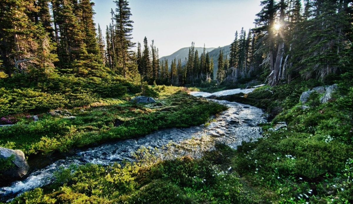 Olympic National Park, Port Angeles, Washington, United States 