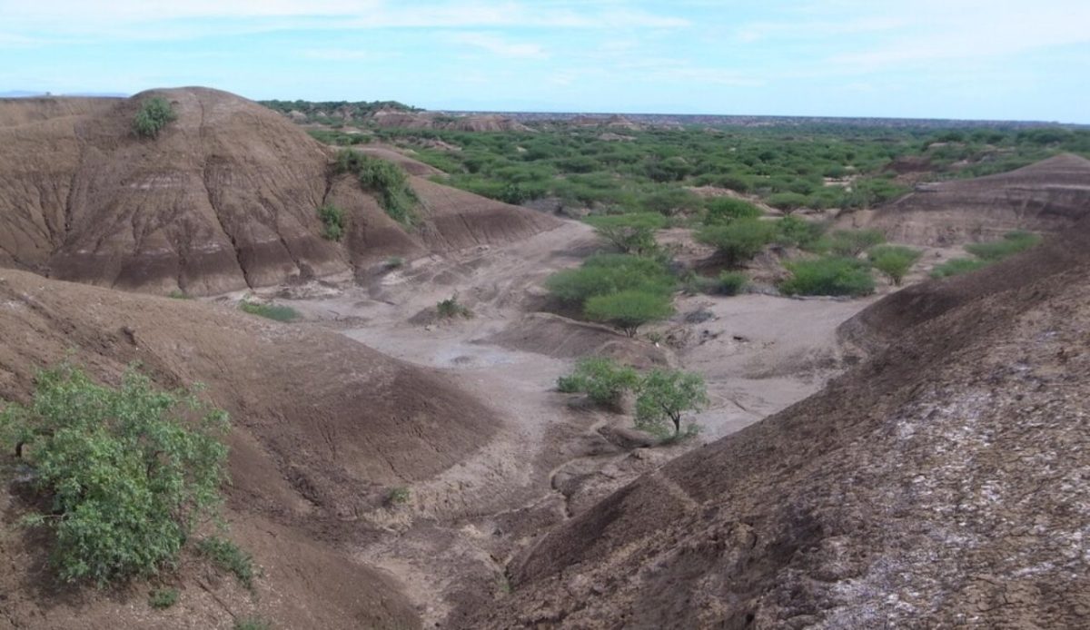 Omo National Park                                   