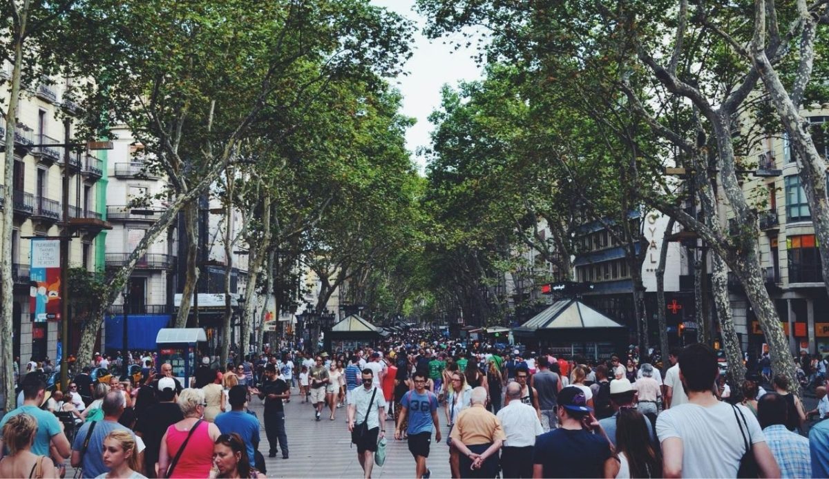 People Walking in the Street Near Green Leaved Trees Under White Cloudy Sky during Daytime