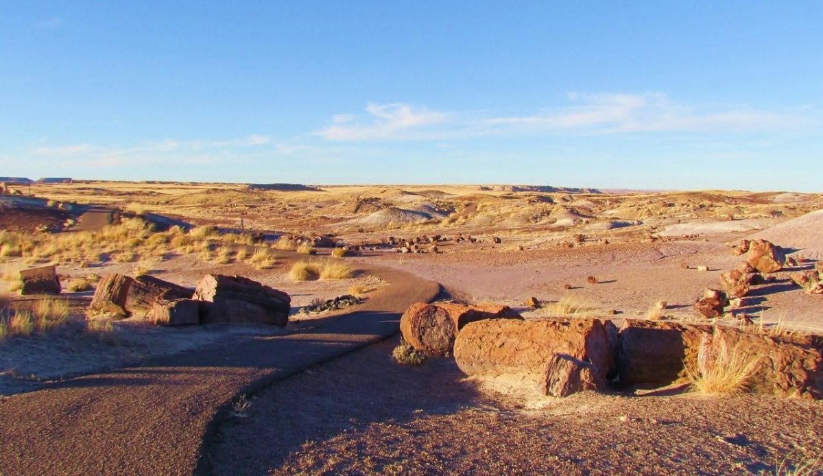 Petrified Forest National Park, Arizona, USA                                