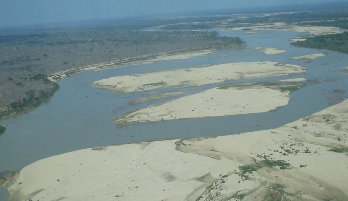 Selous Hunting Blocks (game reserves)                                        