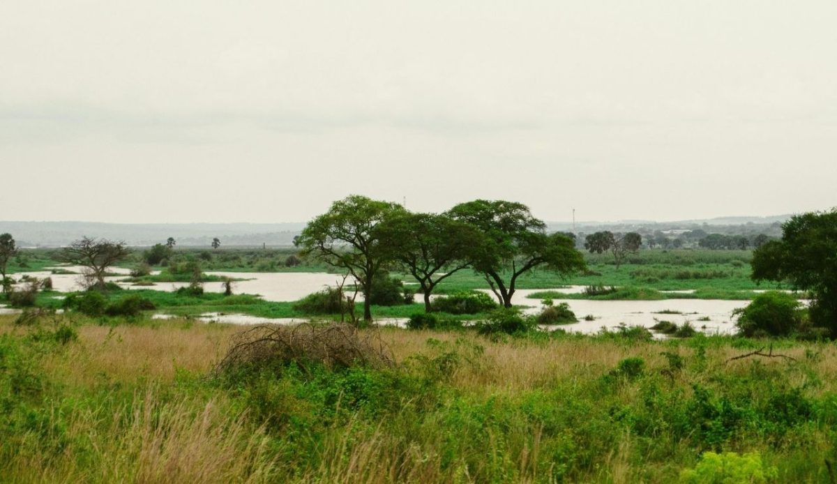 9 Uganda Zones Hiding Prison Risks 9 Serene River Landscape at Murchison Falls National Park