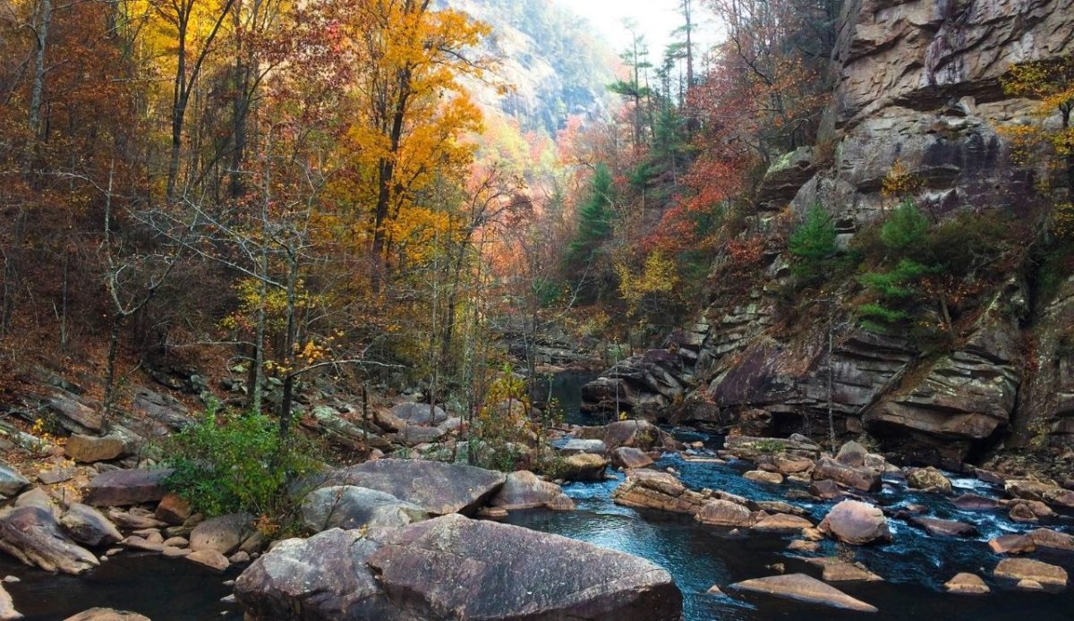 Tallulah Gorge State Park, Helen, Georgia, USA                          