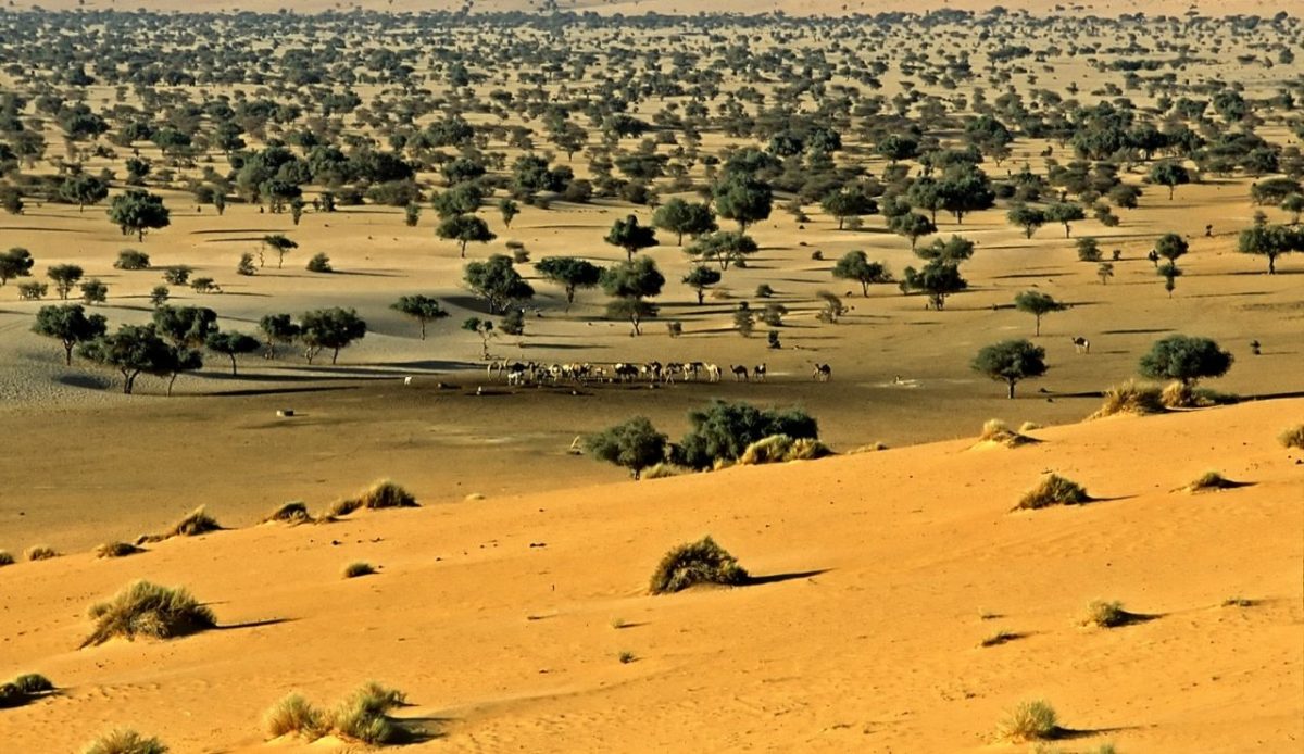 Termit and Tin Toumma National Nature Reserve, Niger                                          