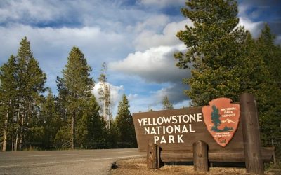 What’s Behind Yellowstone’s Sudden Shutdowns and Why Visitors Keep Getting Turned Away