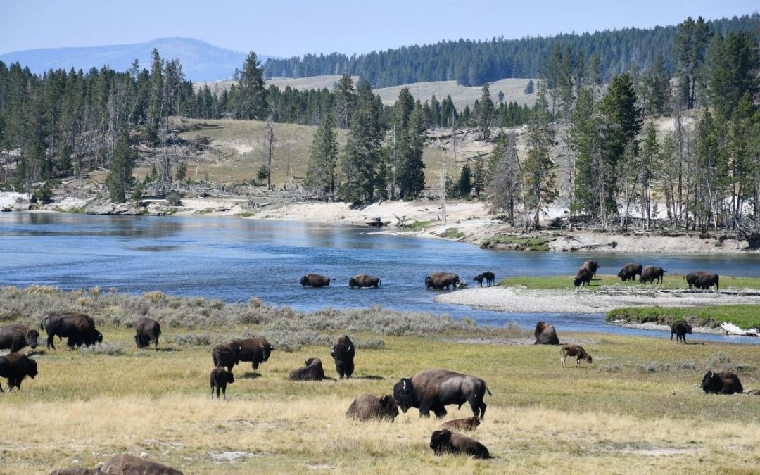 14 U.S. Parks on Fodor’s No List 2026