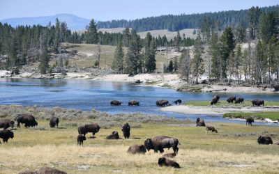 14 U.S. Parks on Fodor’s No List 2026