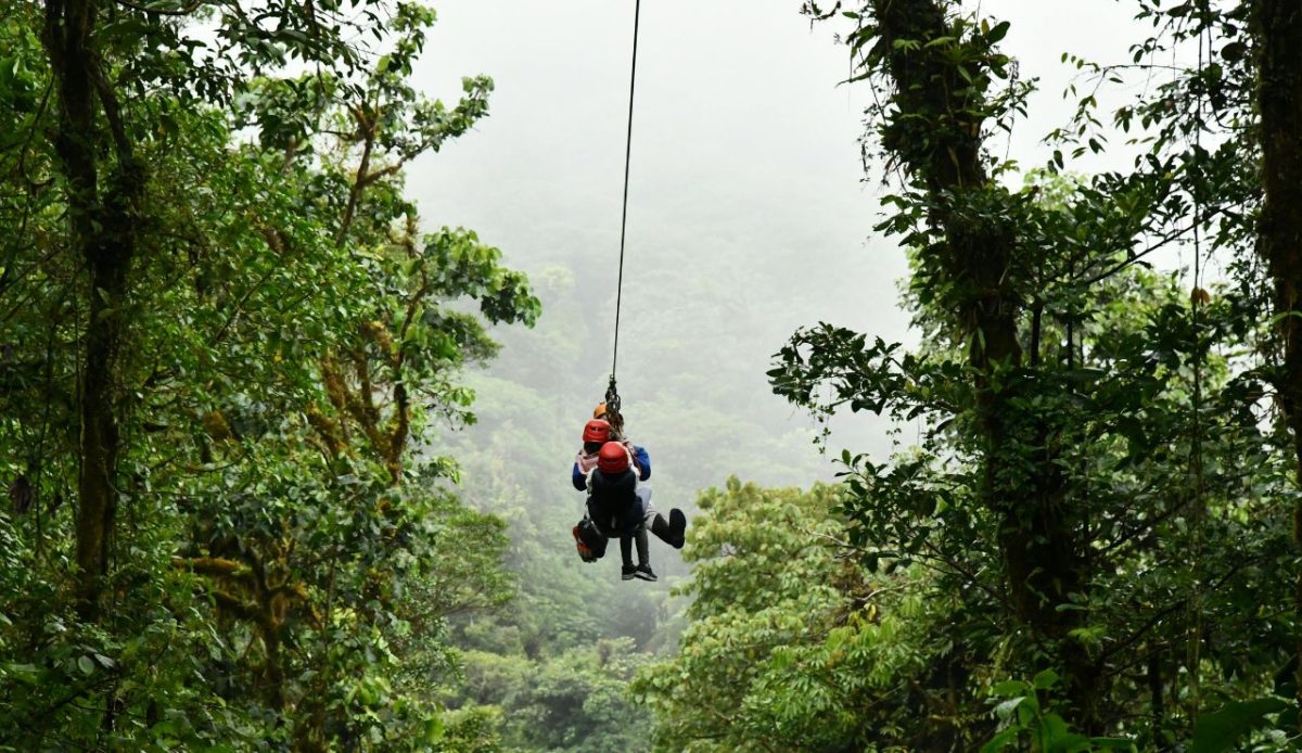 8 Small Tour Companies Crushed by Rising Insurance Costs 7 Forest Canopy Zip Tours