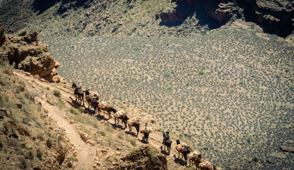 11 Grand Canyon Secrets That Kill 8 11 Grand Canyon Secrets That Kill 2