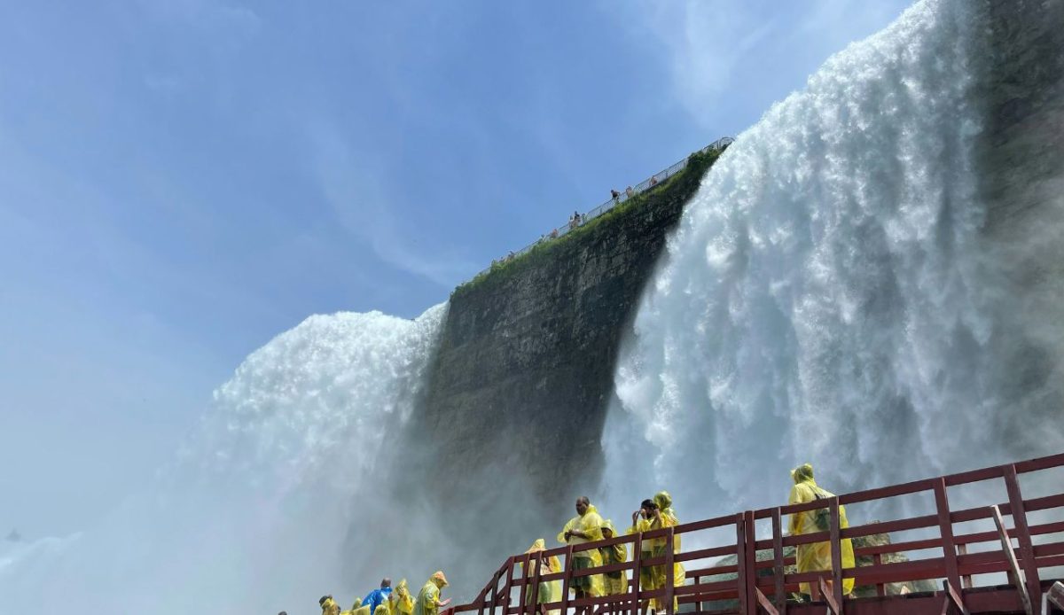 Going over the falls in a barrel is “mostly safe.”