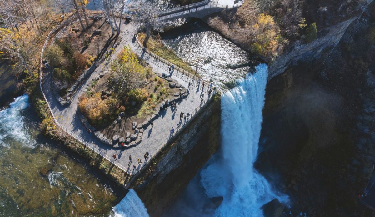 Tourists “accidentally fall in” all the time