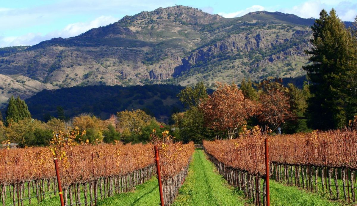 Napa & Sonoma Wine Country