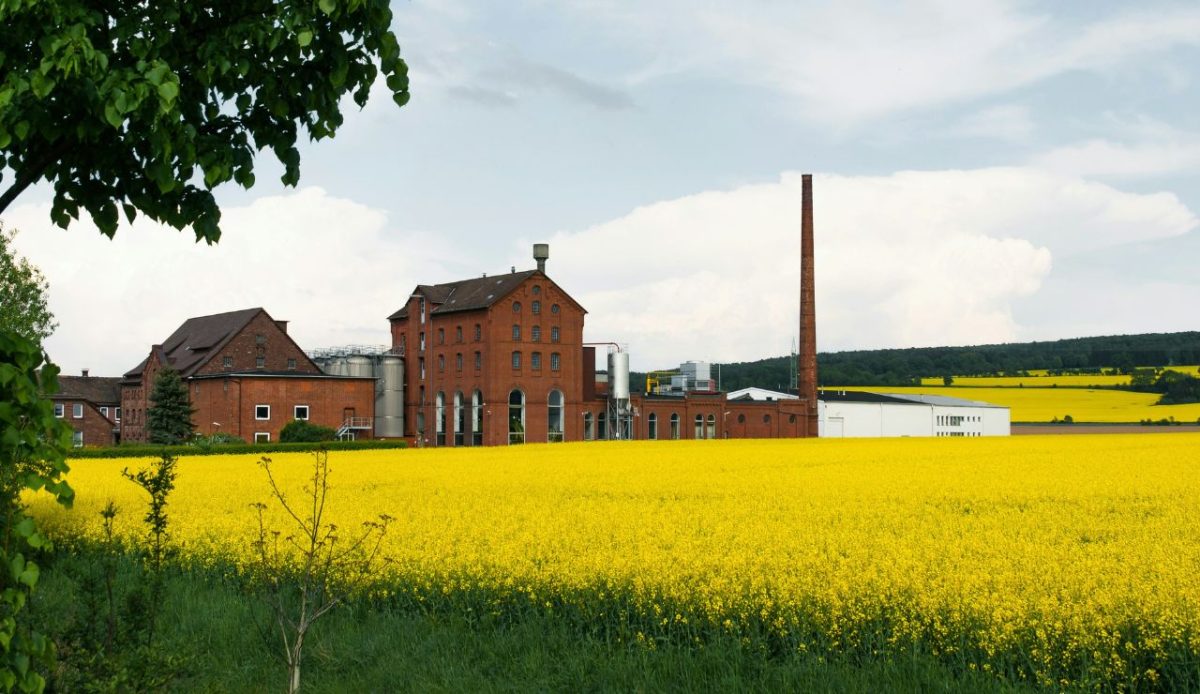 Long-term land use and stewardship decisions