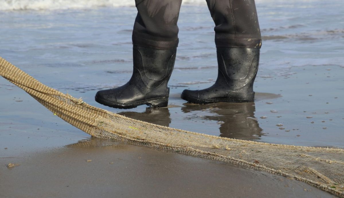 Chemical residues in shoreline sediment