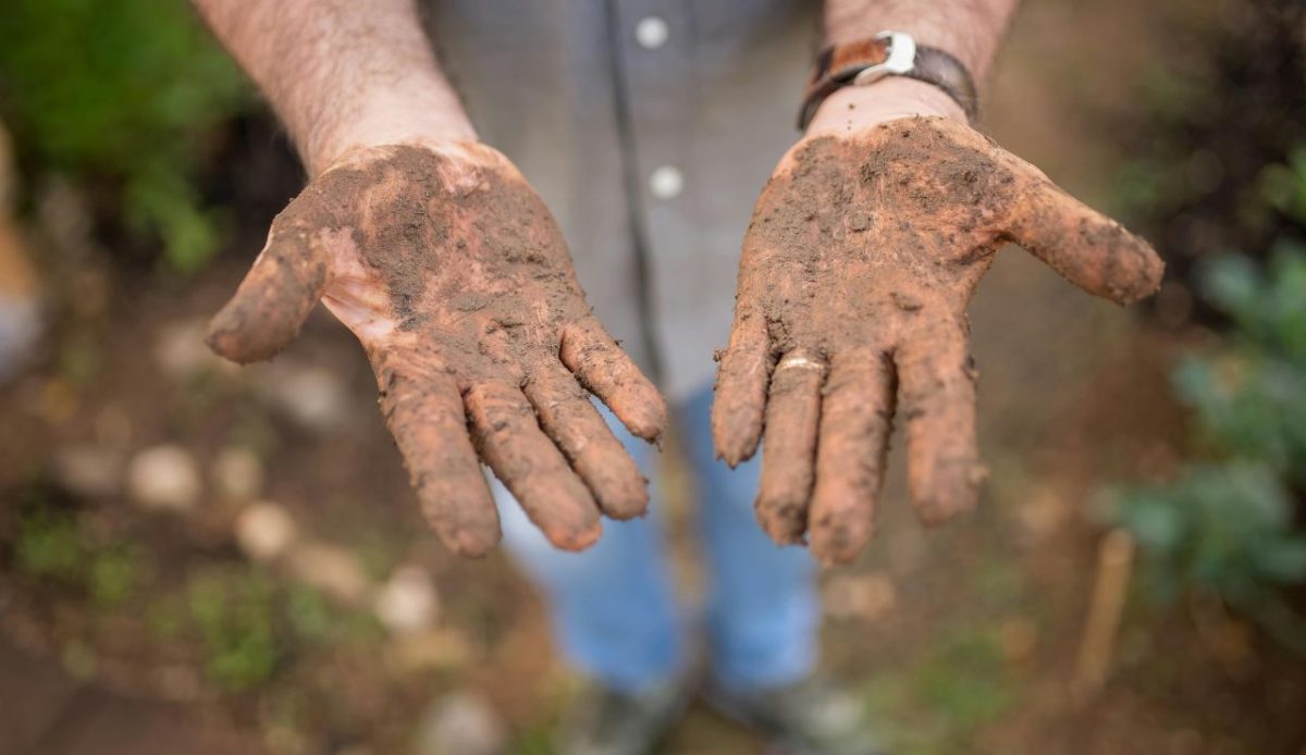 Metals in dust and mud