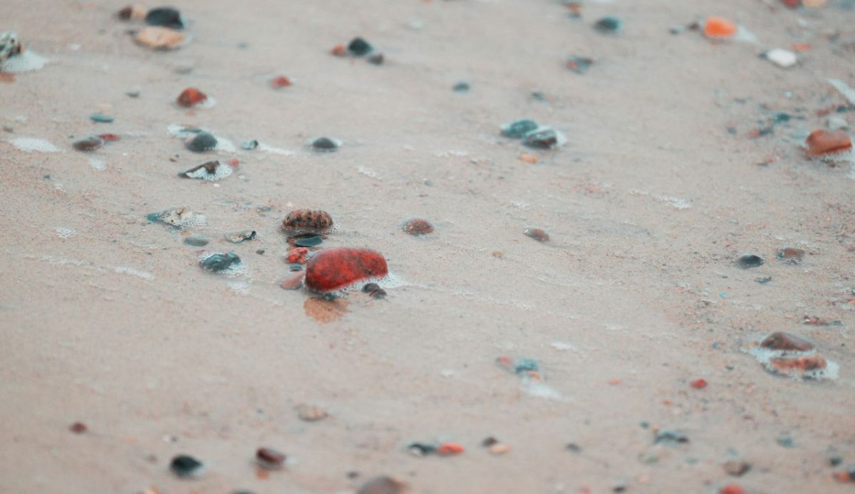 Sharp debris and puncture hazards