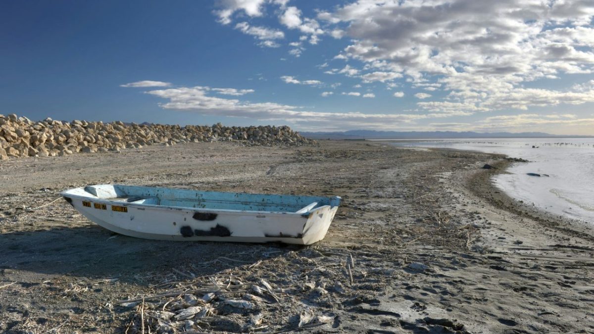 13 Salton Sea Poisons Chasing Viral Fame