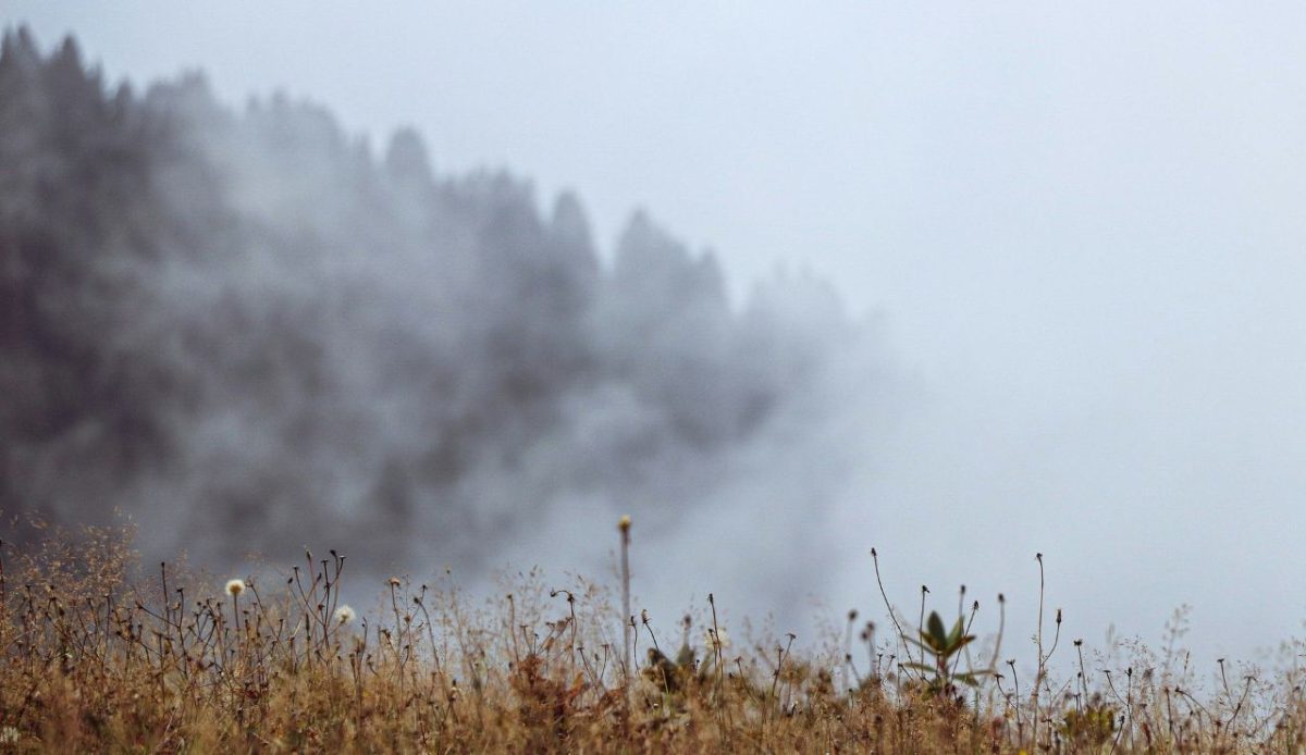 Flashy Fuels in Dry Grass and Sage Flats