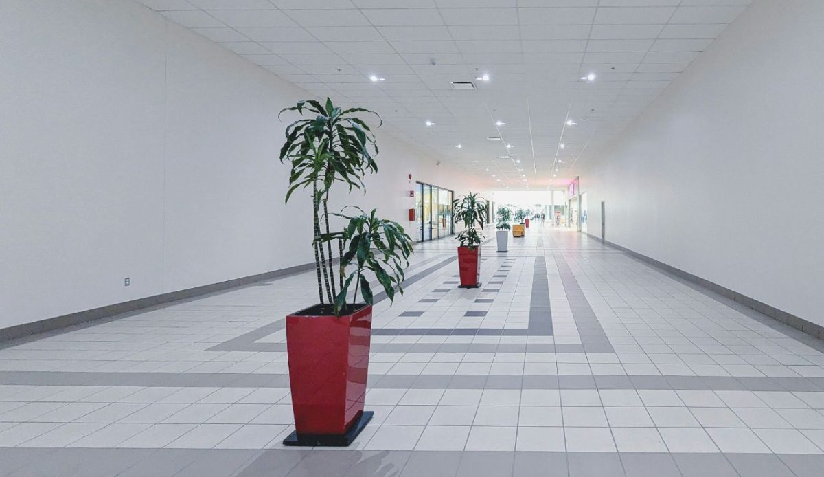 Indoor Promenades And Resort-Connected Malls