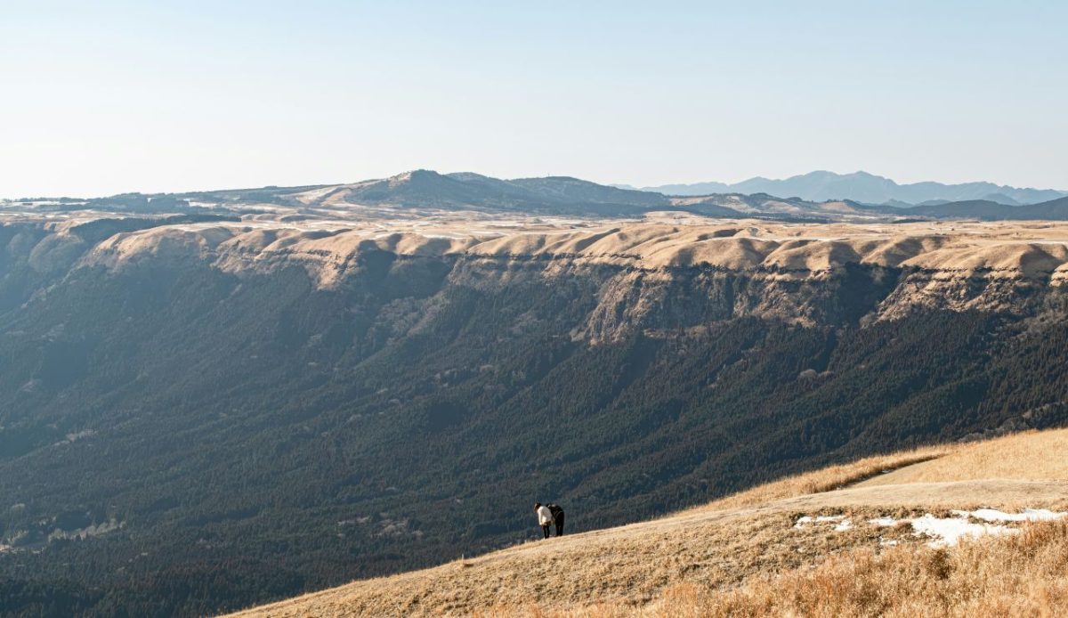 11 Hanford Leaks Haunting Tours Now 4 NPS Hanford Guided Tours Planning Stop