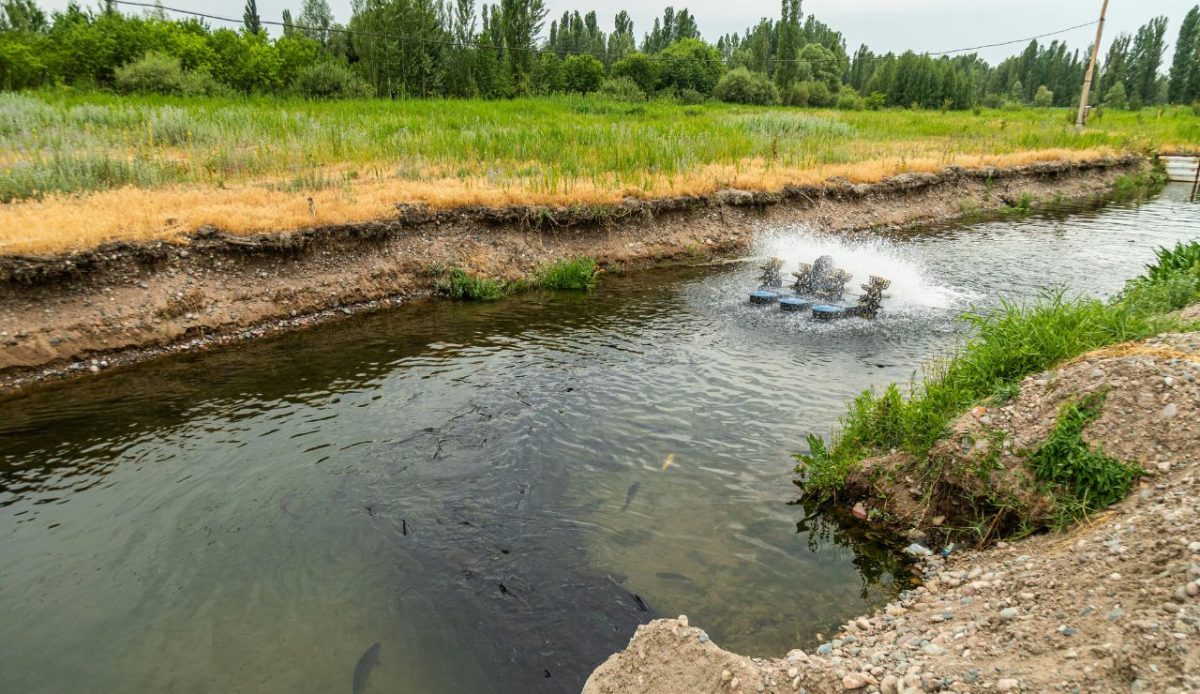 12 Love Canal Poisons Fooling Visitors 1
