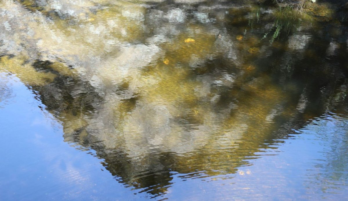“Leachate” that appears after heavy rain or thaw