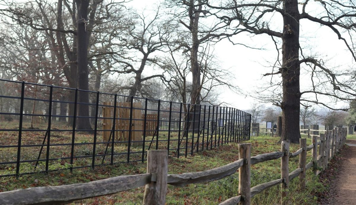 The ‘looks normal’ effect after remediation and delisting