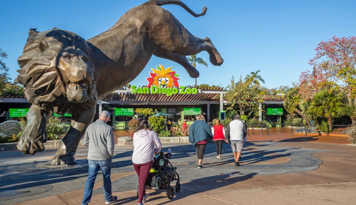 Lion “Walking” Parks and Big-Cat Playgrounds