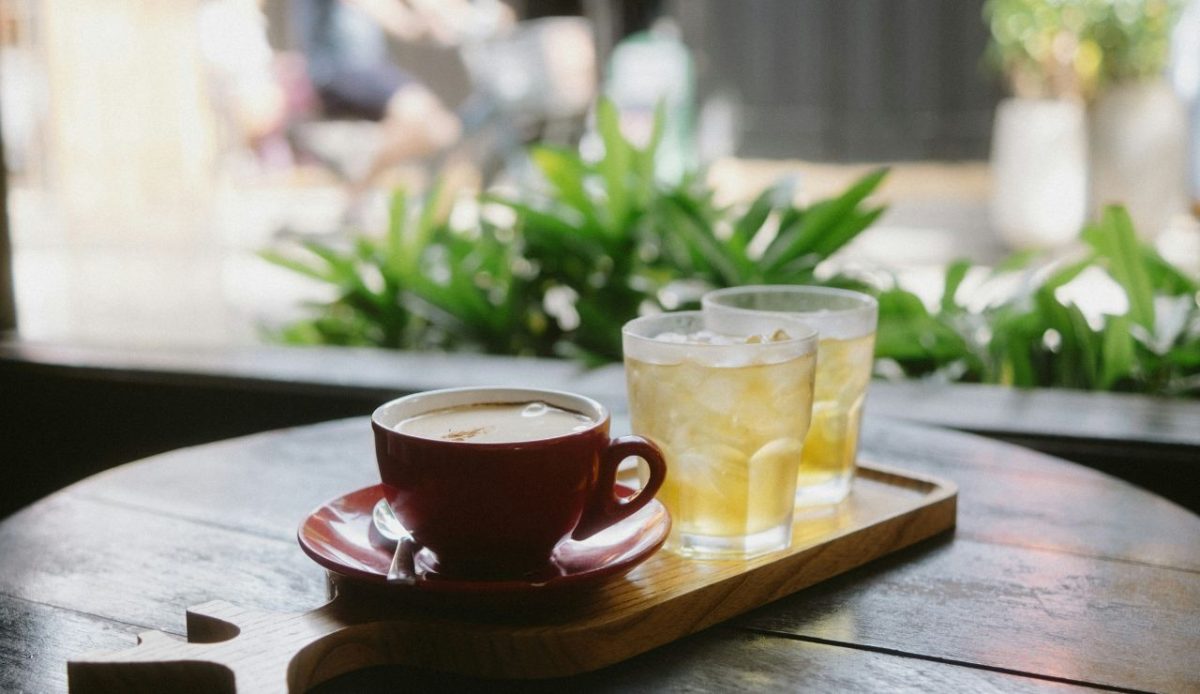 Civet “Coffee Experience” Parks