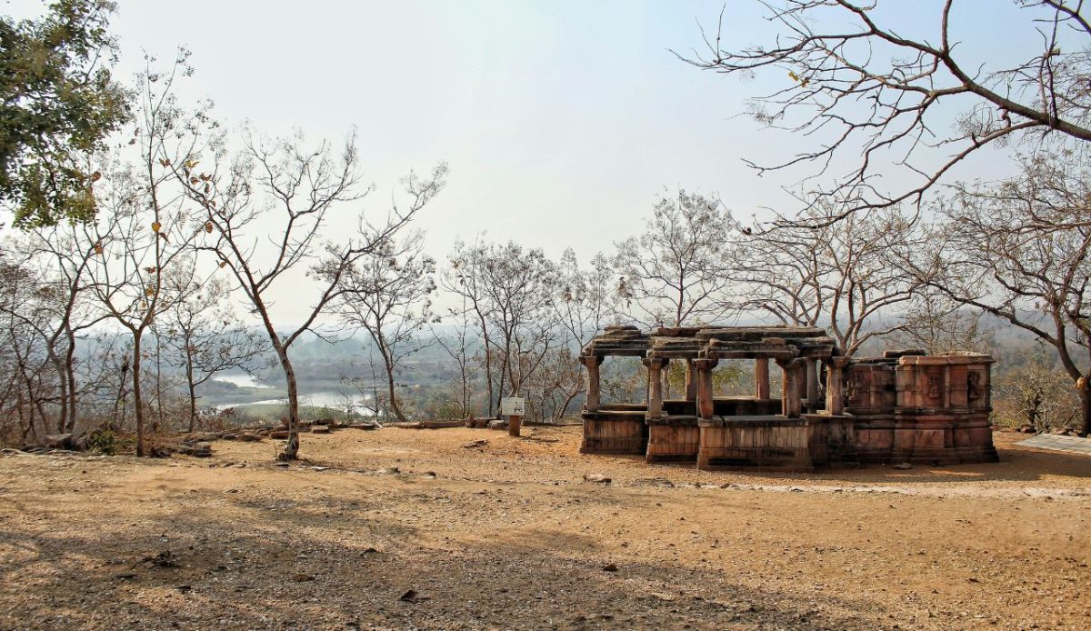  Burn Scar and Dead-Tree Camps