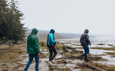 14 Viral Beaches Turning to Toxic Mud