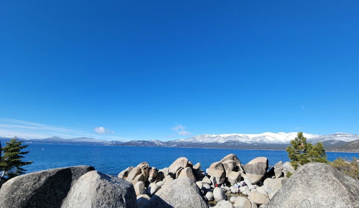 14 Viral Beaches Turning to Toxic Mud 1