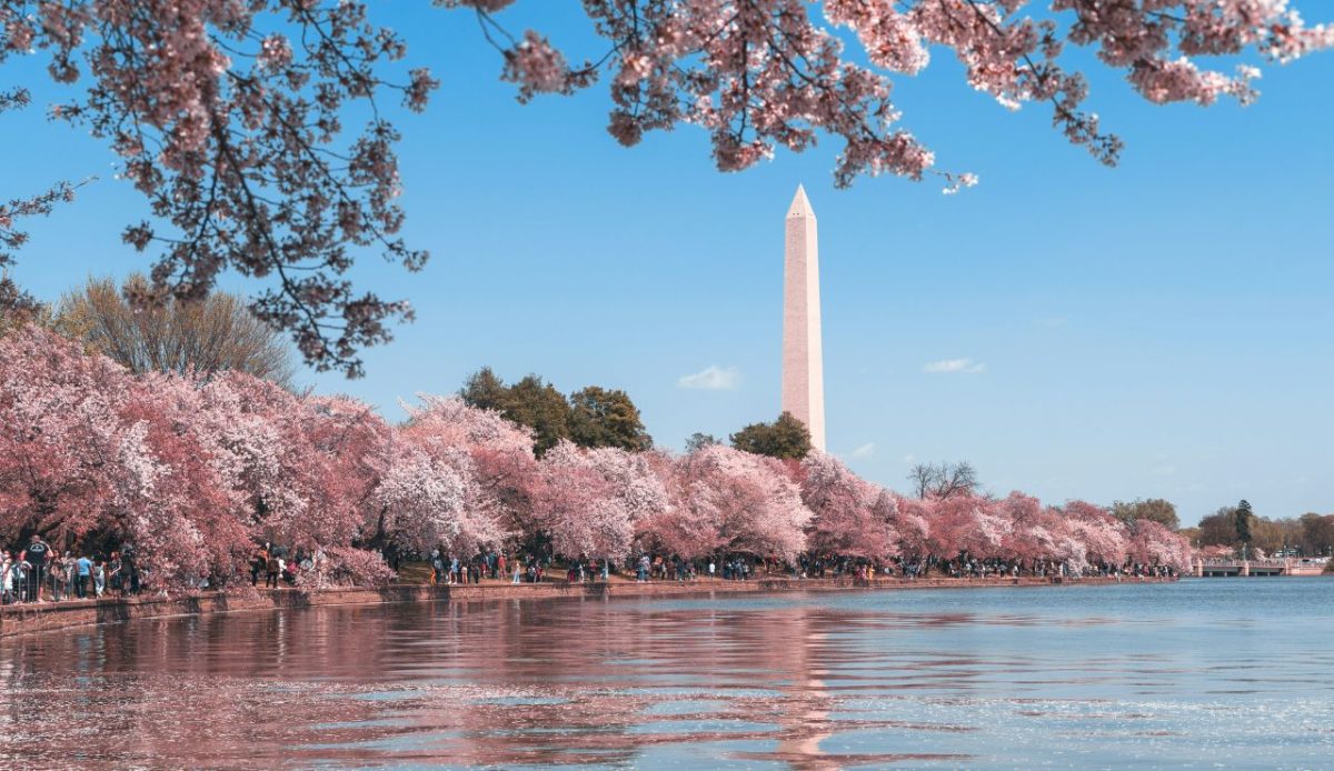 Washington Monument (Washington, DC)