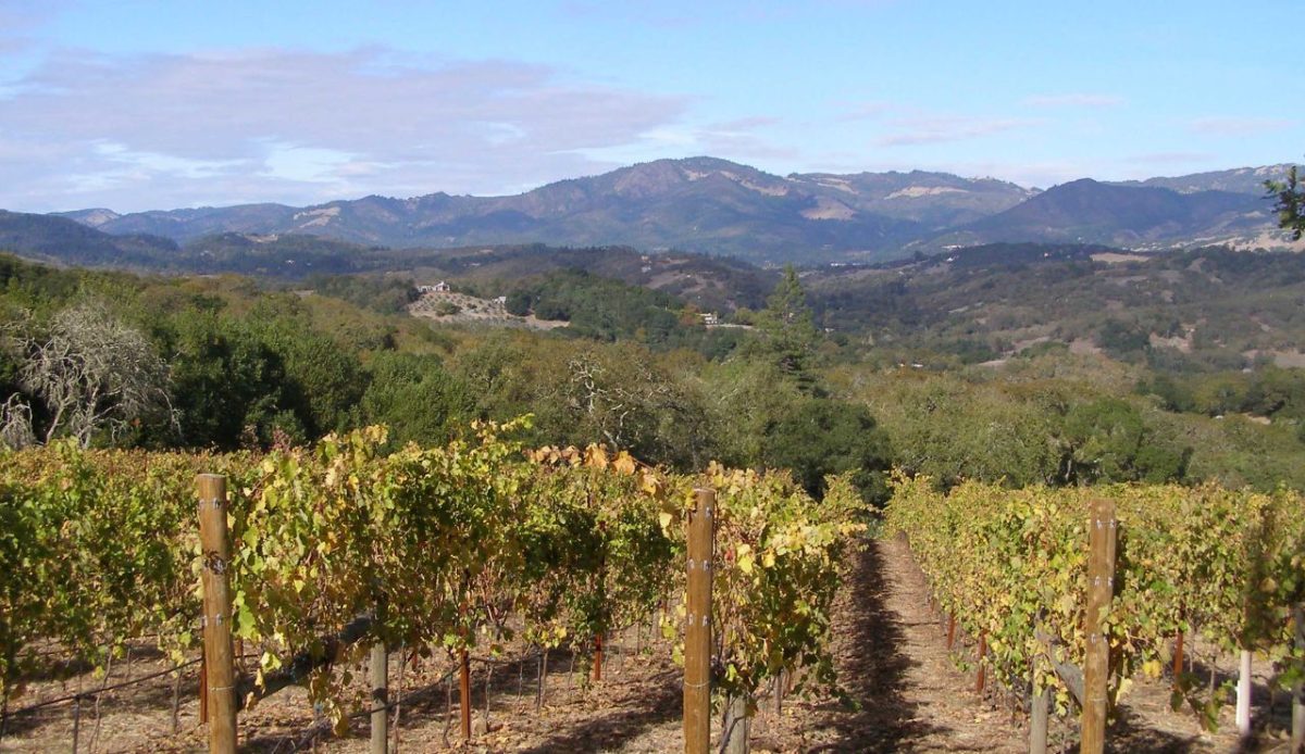 Napa & Sonoma Wine Country, California