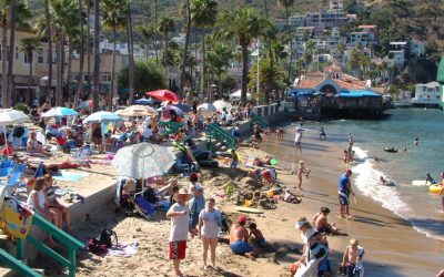 Ride the ocean: a Sea-Doo adventure to Catalina Island